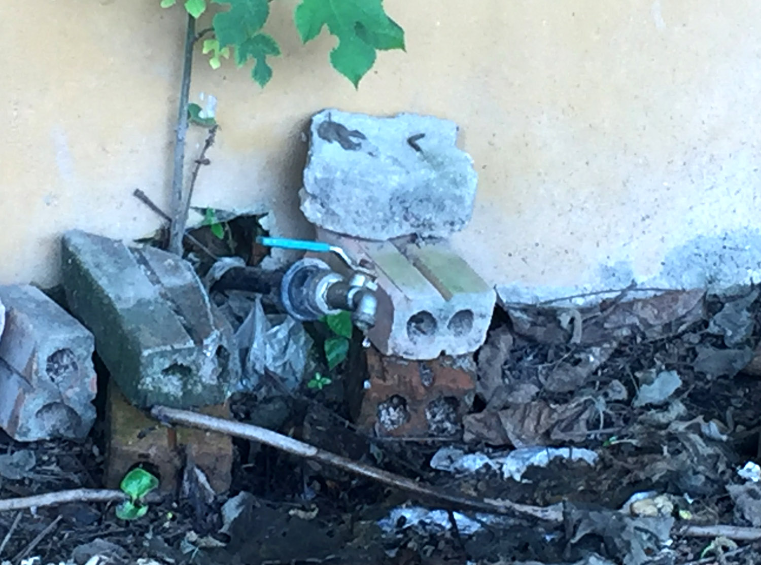 Thông tin từ đường dây nóng    